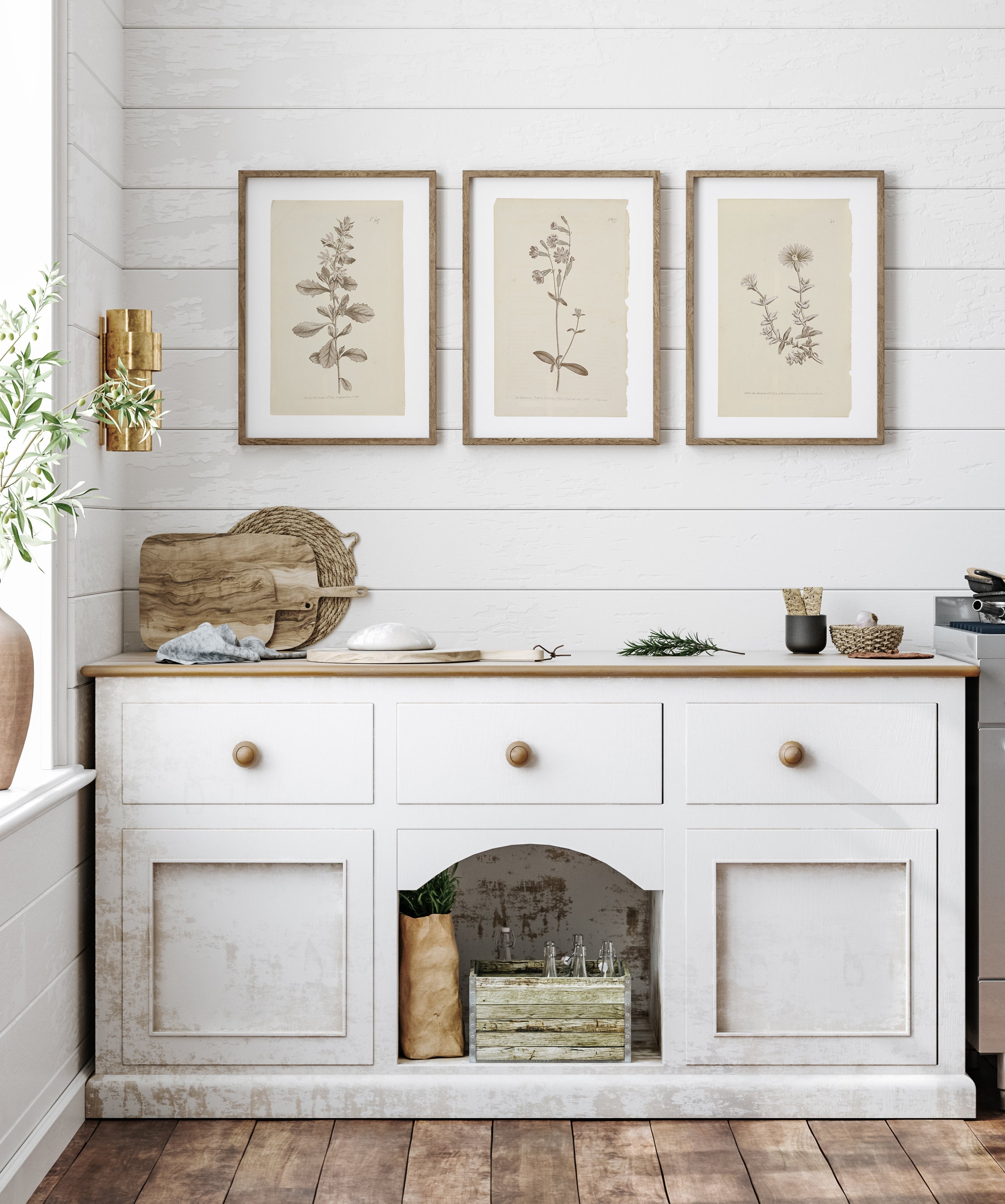 Vintage Wall Art Botanical Prints - Set of 4 Unframed - Paz Lifestyle