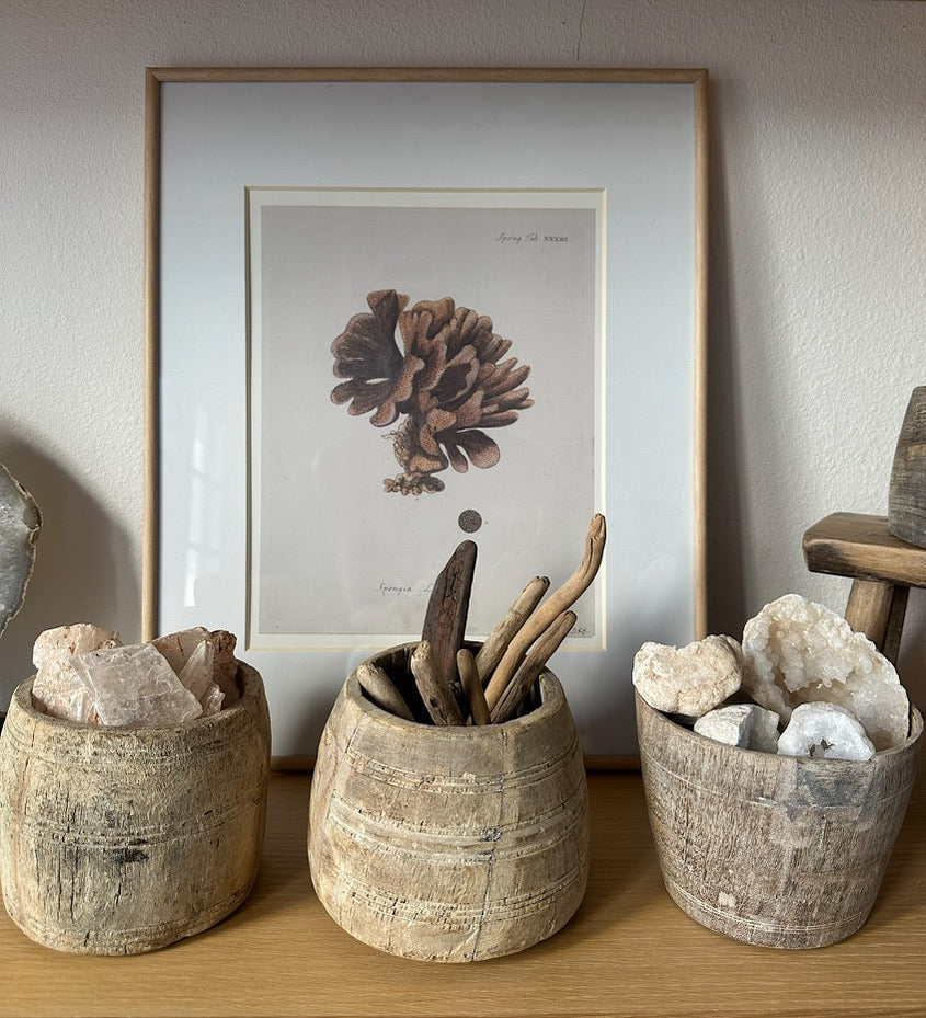 Antique Honey Pot - Bleached