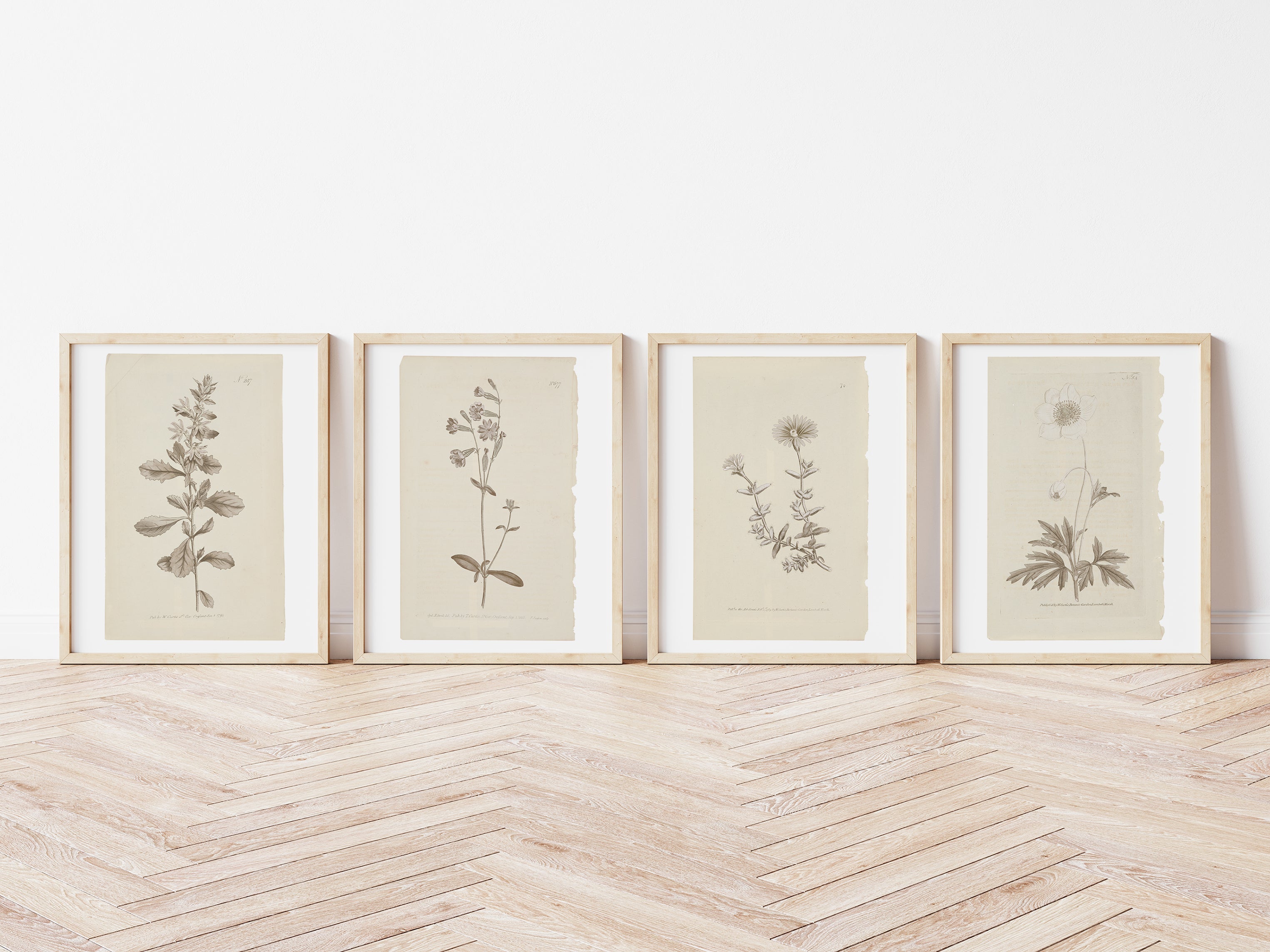 Vintage Wall Art Botanical Prints - Set of 4 Unframed - Paz Lifestyle