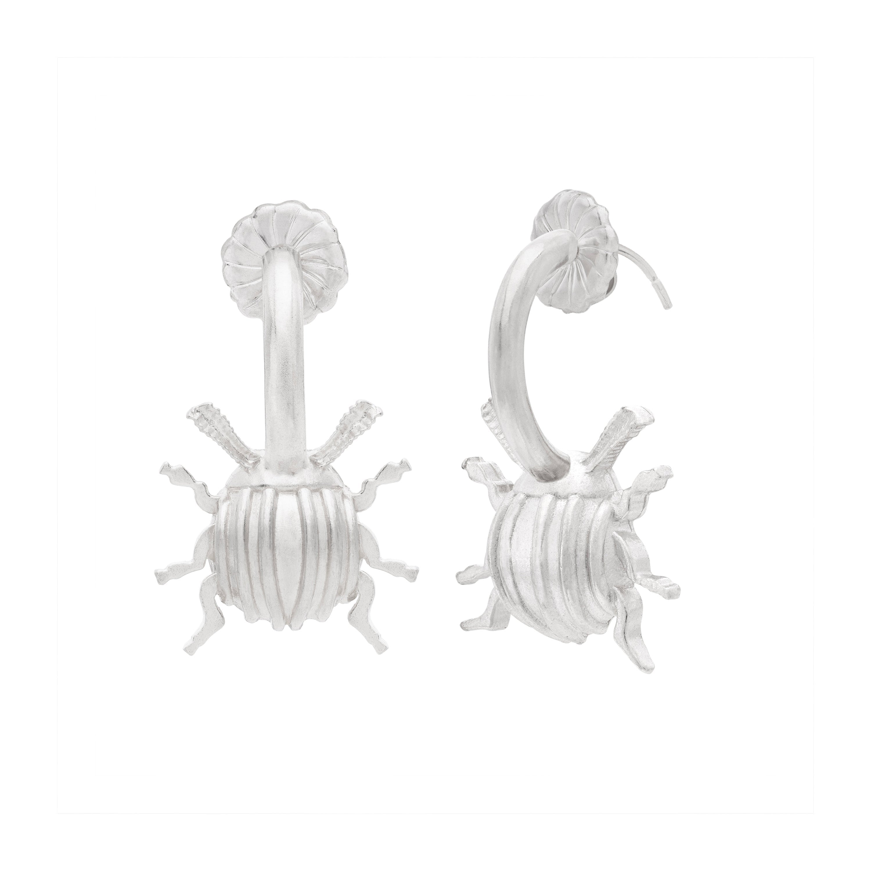 Medium Beetle Hoops - Paz Lifestyle