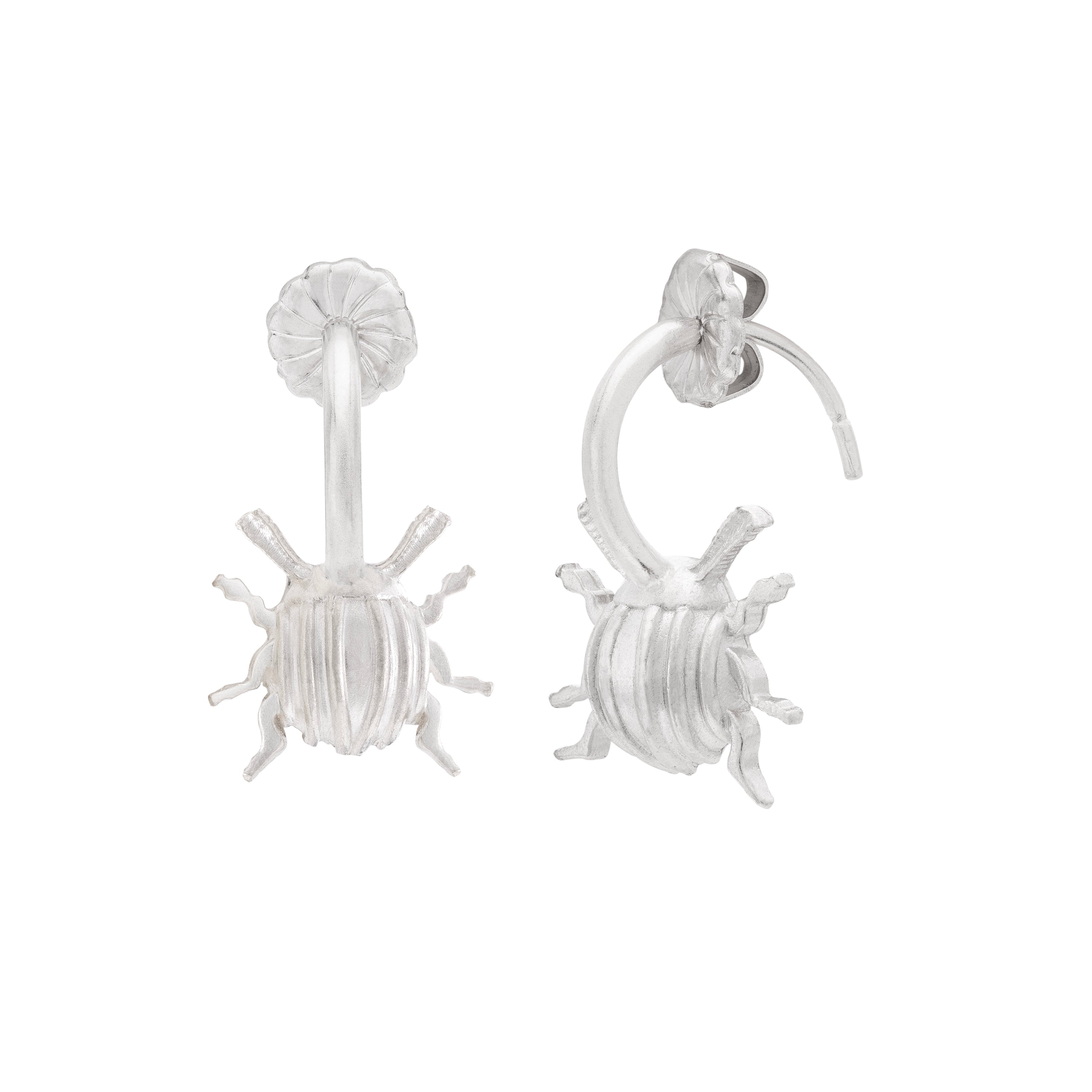 Tiny Beetle Hoops - Paz Lifestyle