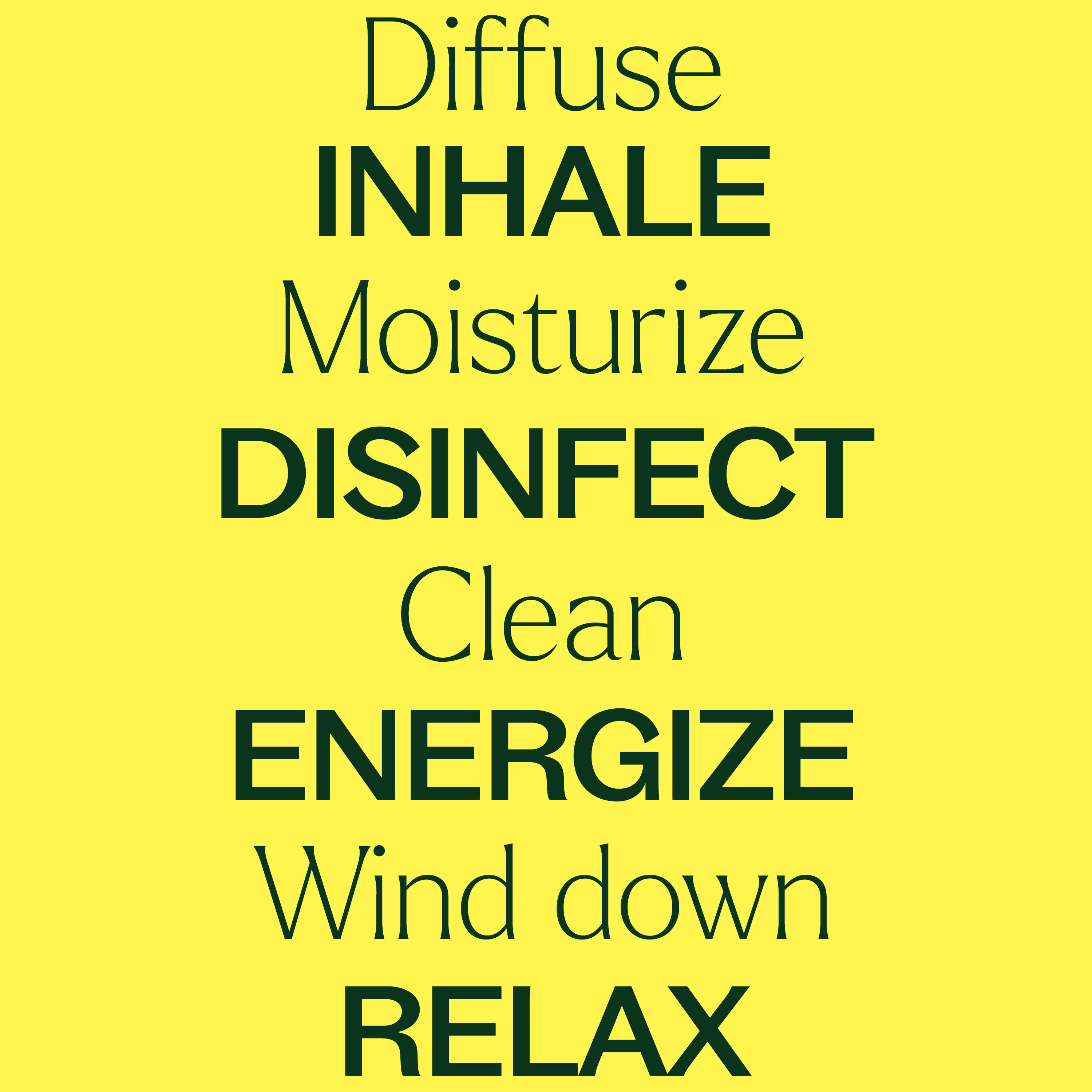 15 & 15 Essential Oil Set with Carrying Case - Paz Lifestyle 