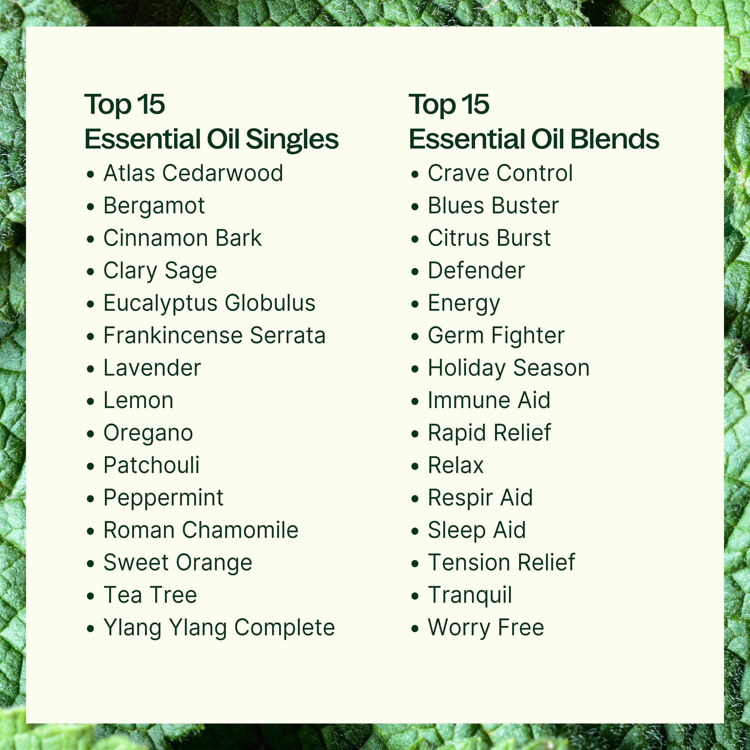 15 & 15 Essential Oil Set with Carrying Case - Paz Lifestyle 