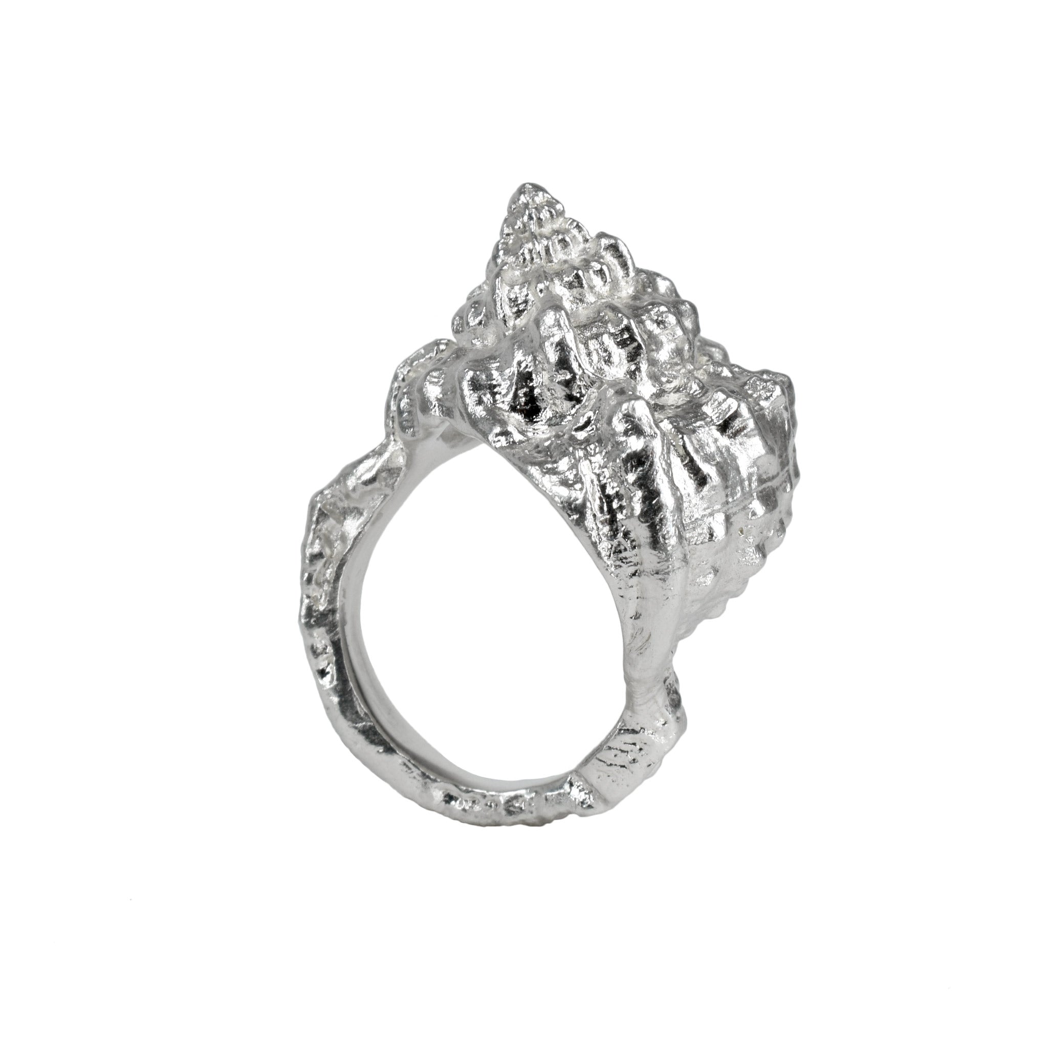 Shell Embedded Rings The sea Shell Ring molded from a sea shell – Paz Lifestyle