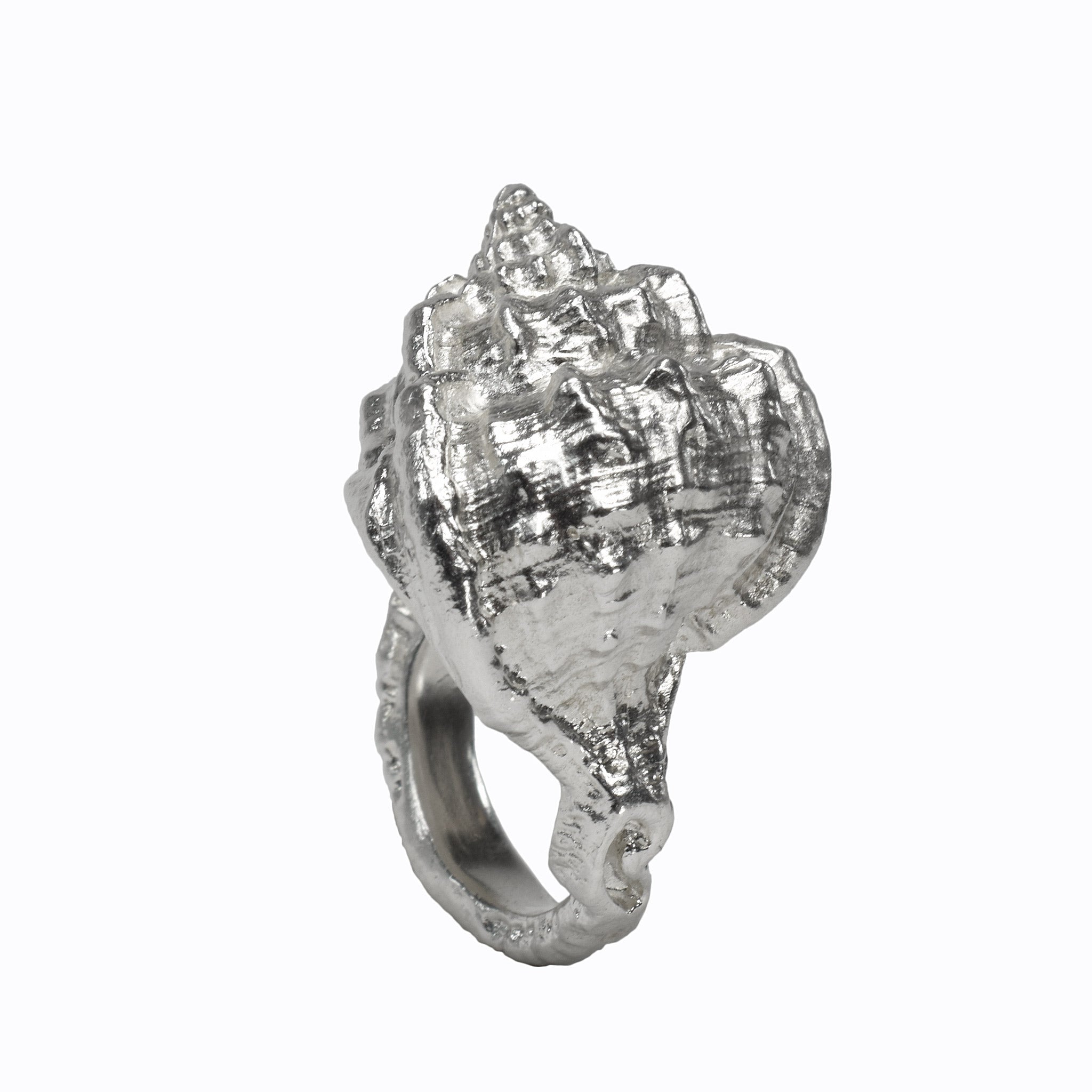 The sea Shell Ring molded from a sea shell - Paz Lifestyle 