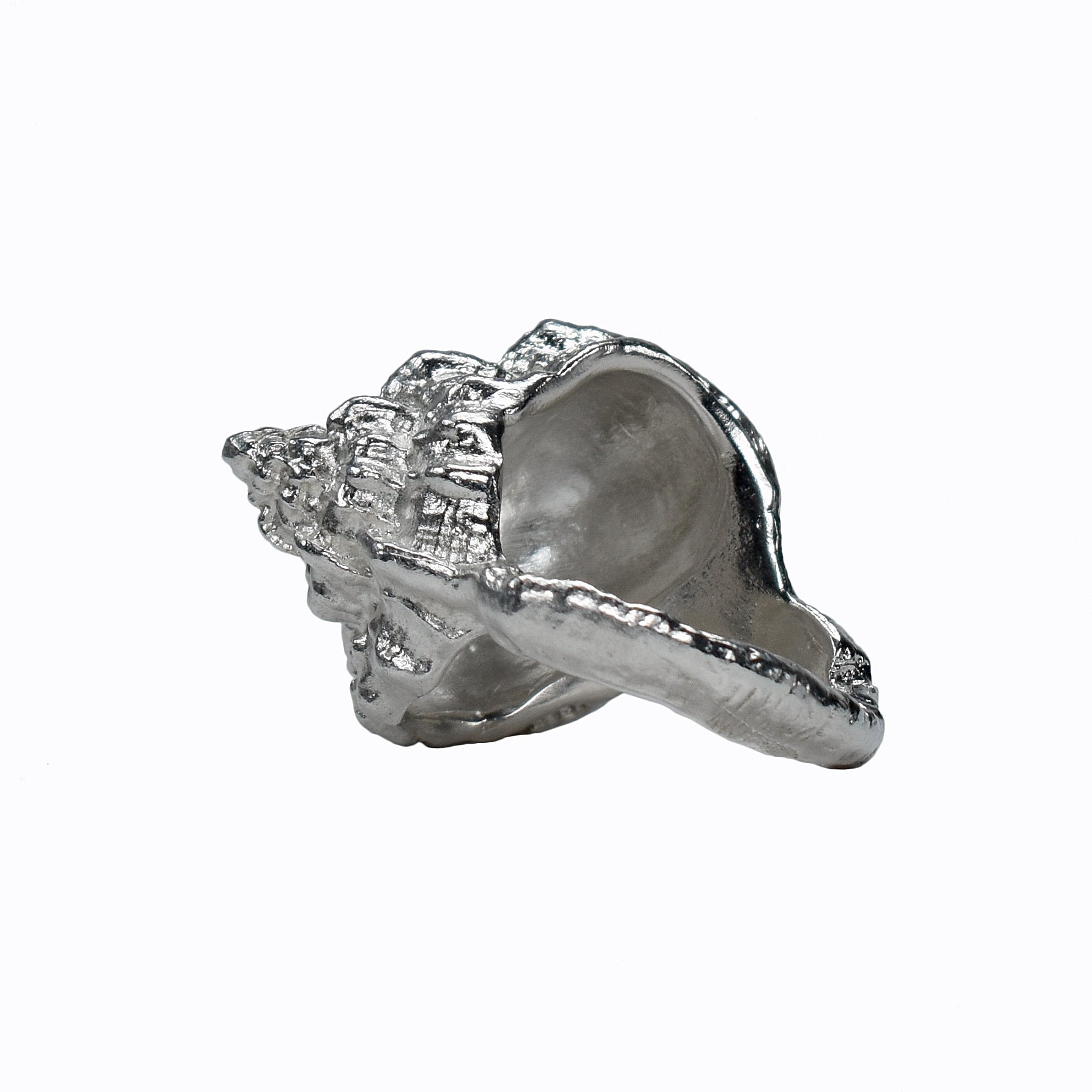 The sea Shell Ring molded from a sea shell - Paz Lifestyle 