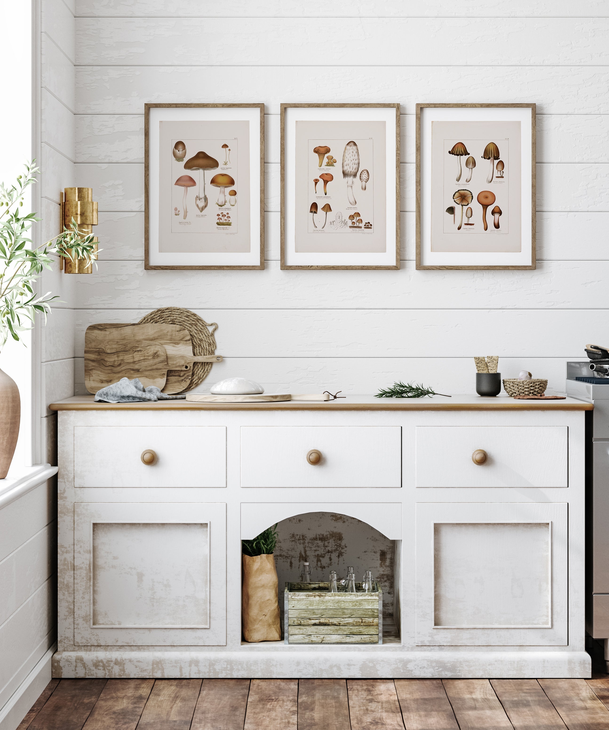 Antique Mushroom Wall Art Prints Set of 4 - Paz Lifestyle 