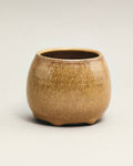 Honey Sphere Mug