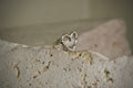 Infiniti Ring