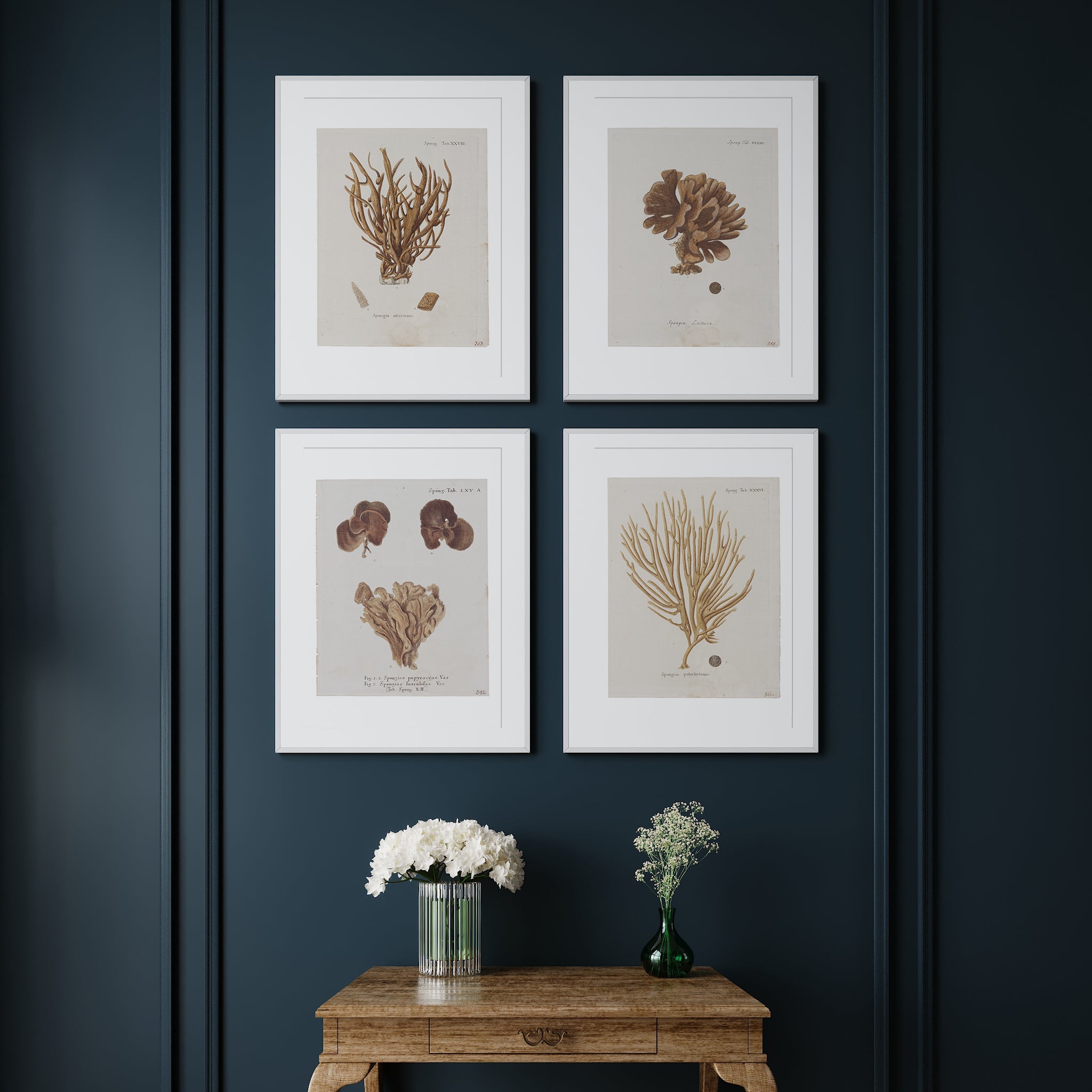 Vintage Coral Wall Art Studies Set of 4 In Antique or Indigo - Paz Lifestyle 