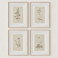 Vintage Wall Art Botanical Prints - Set of 4 Unframed - Paz Lifestyle 
