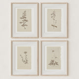 Vintage Wall Art Botanical Prints - Set of 4 Unframed - Paz Lifestyle 