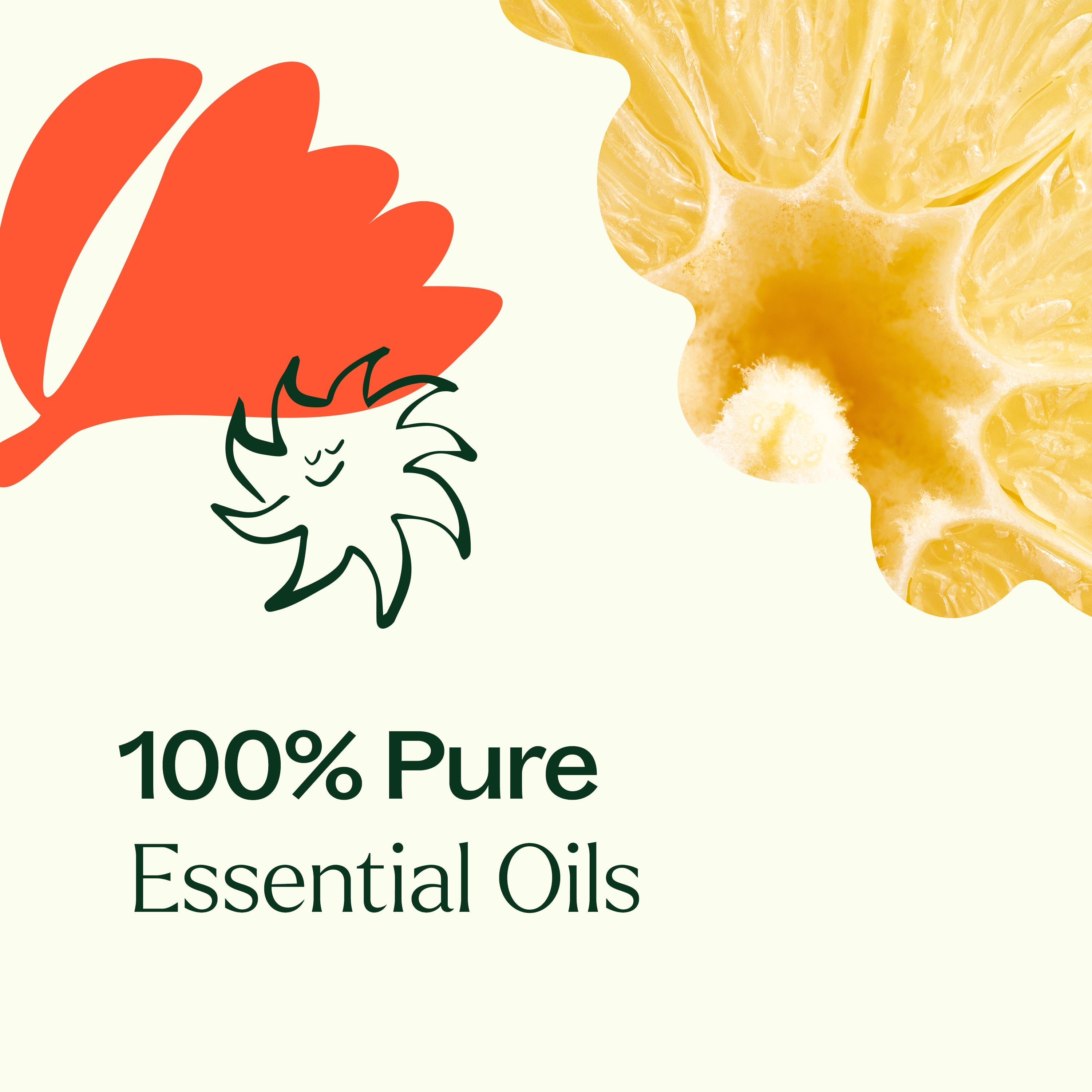 Cleaning Duo: Citrus Burst + Chamomile Sleeve - Paz Lifestyle 