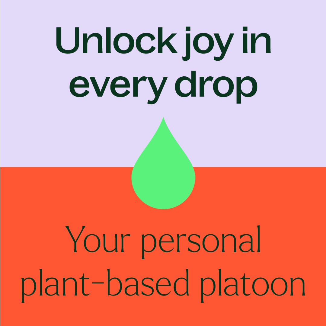 Cleaning Duo: Defender + Chamomile Sleeve - Paz Lifestyle 