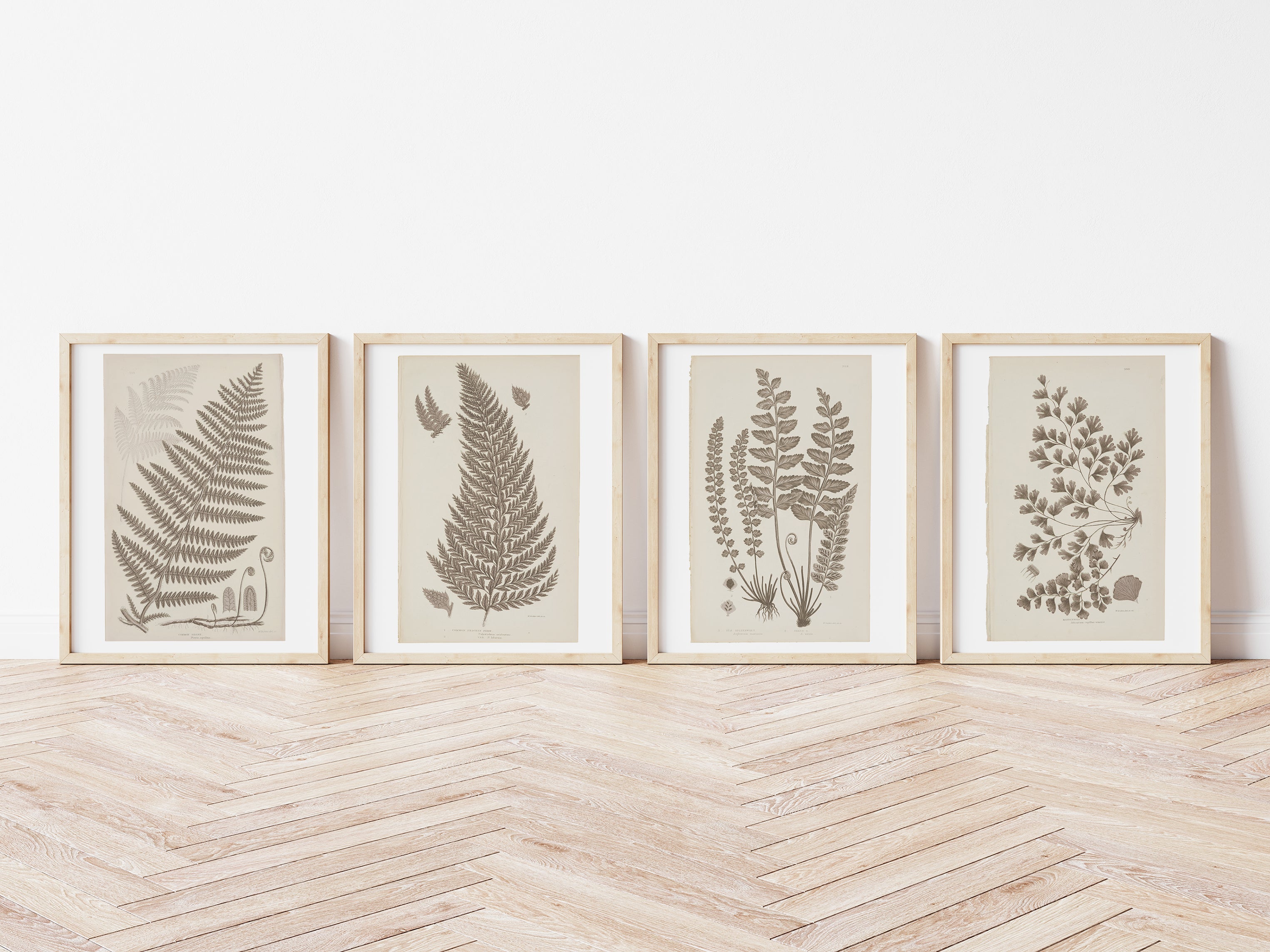 Antique Ferns Set of 4 In French Gray and Green - Paz Lifestyle 