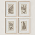 Antique Ferns Set of 4 In French Gray and Green - Paz Lifestyle 