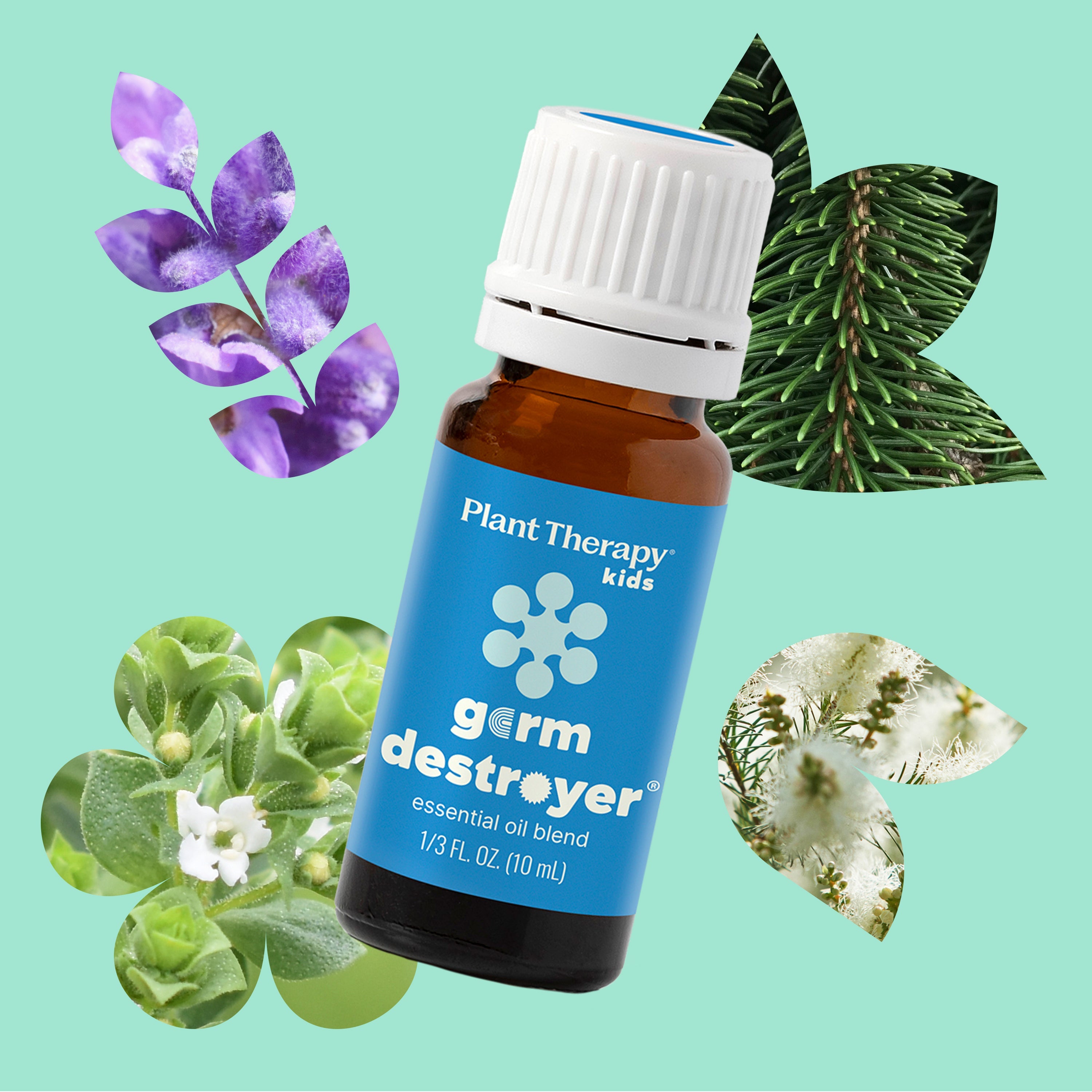 Germ Destroyer Essential Oil - Paz Lifestyle 