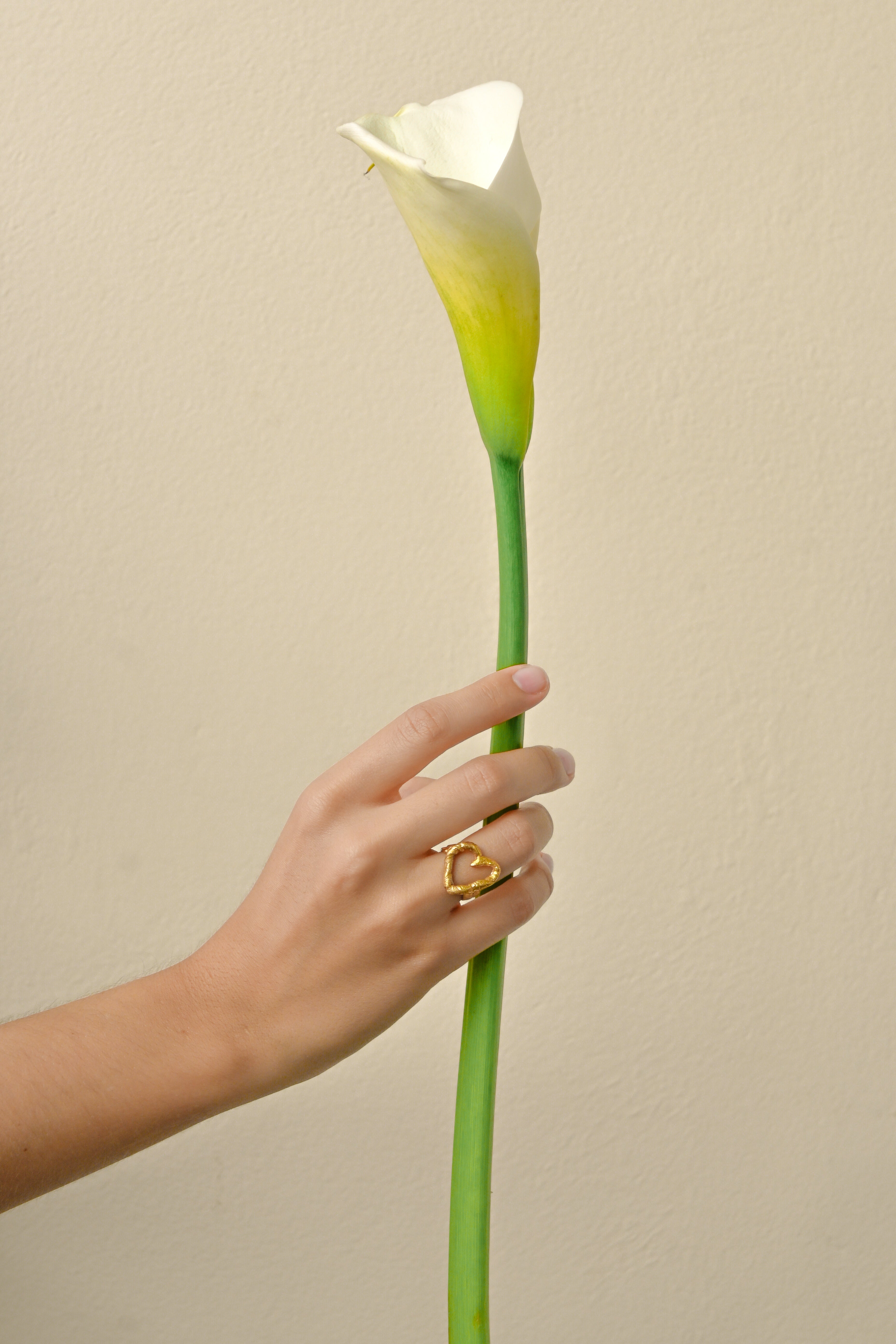 Infiniti Ring Gold Plated