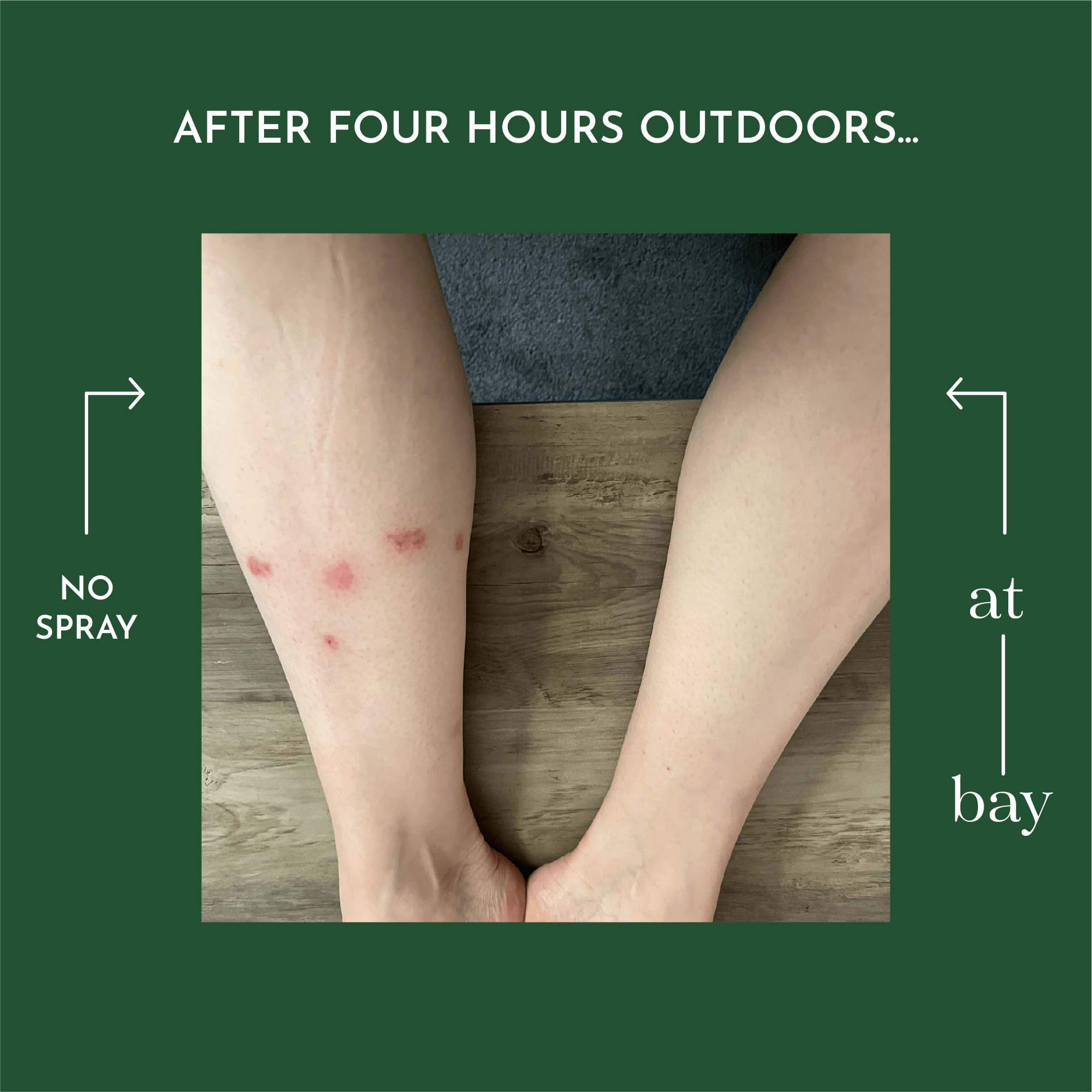 Bug Repellent - 4 oz. - Paz Lifestyle 