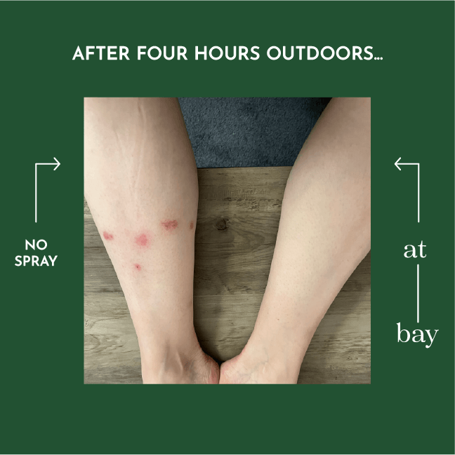 Bug Repellent Sampler Pack - Paz Lifestyle 