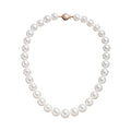 Australian South Sea Round Pearl Necklace in Rose Gold - Paz Lifestyle 