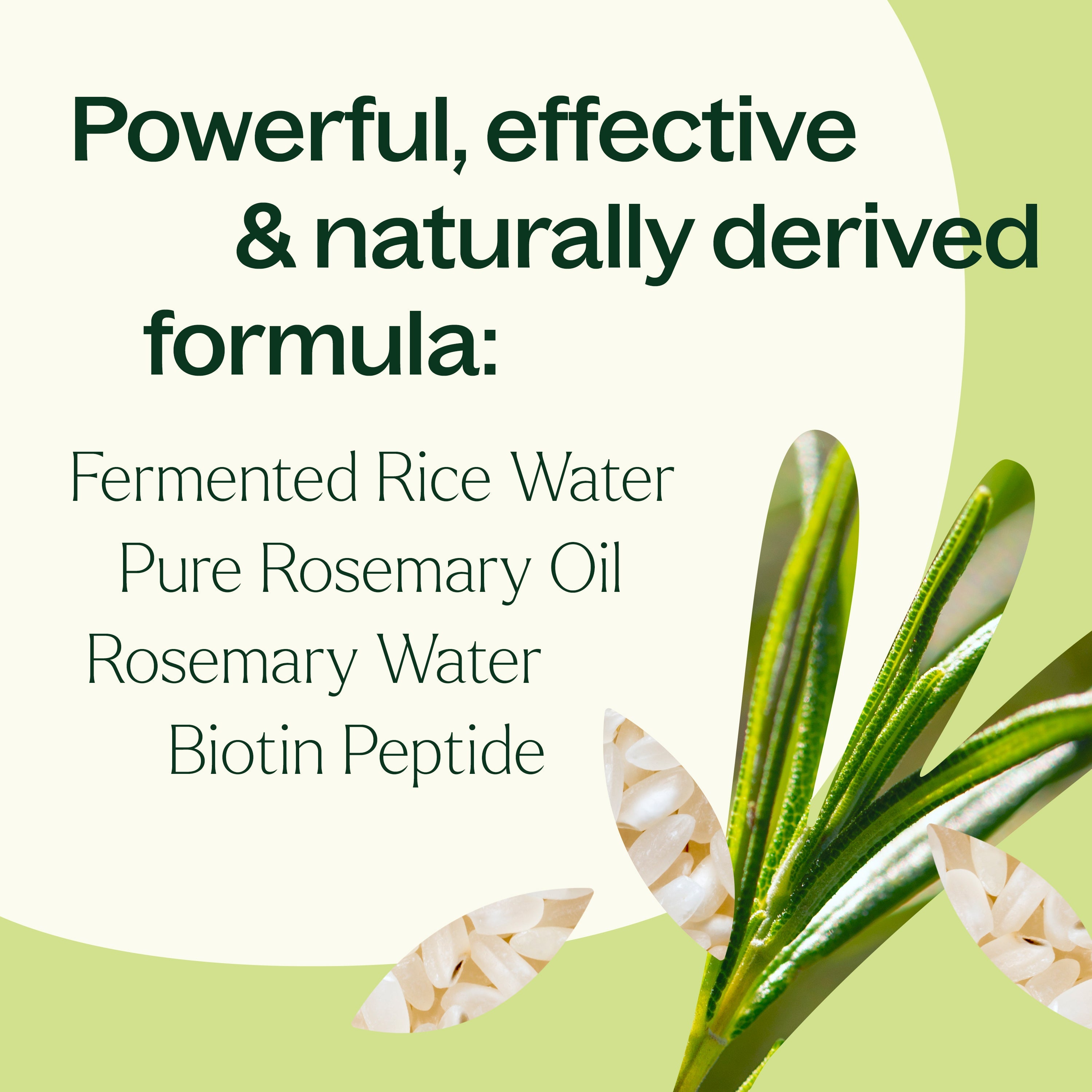 Rosemary & Rice Water Daily Hair Growth Spray - Paz Lifestyle 
