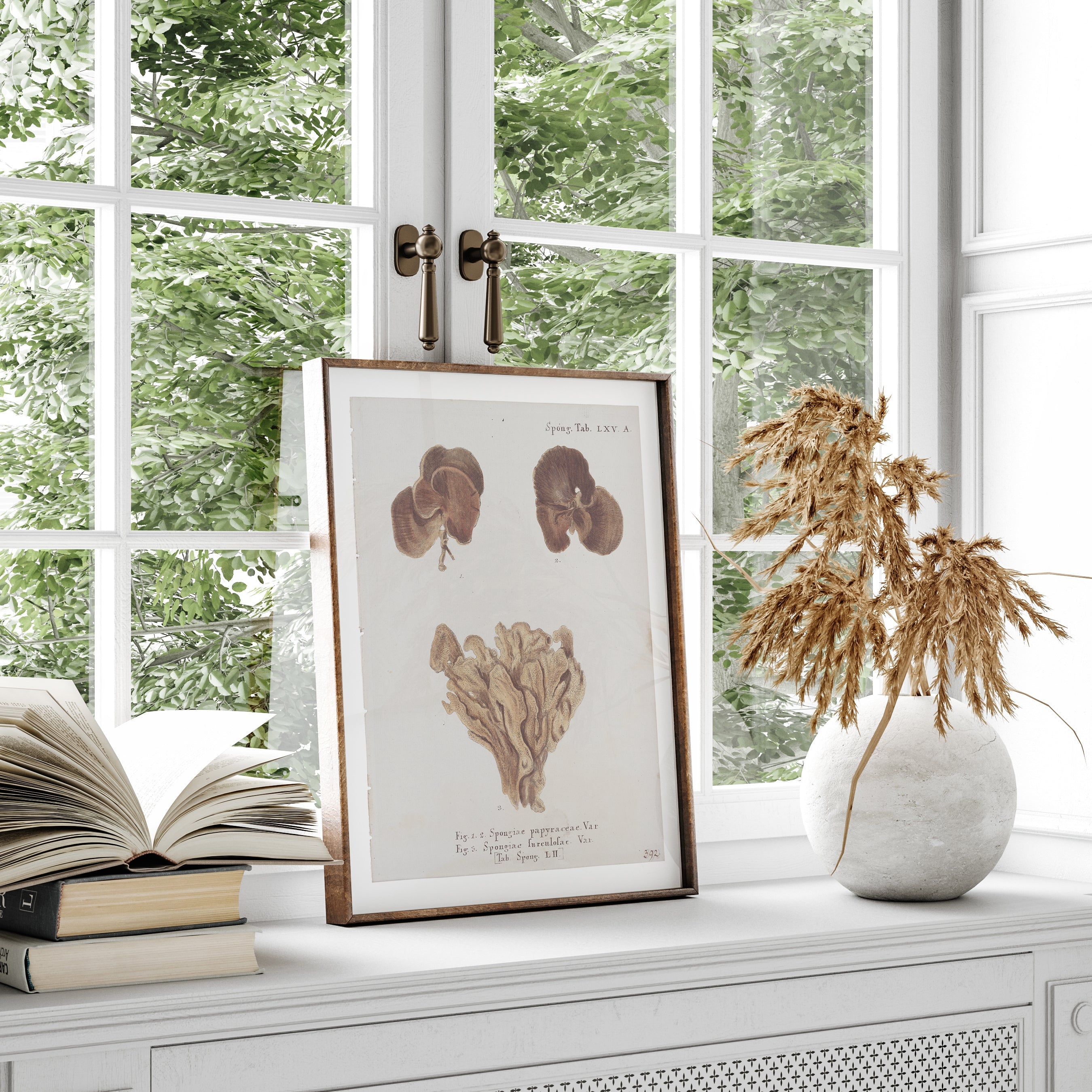 Vintage Coral Wall Art Studies Set of 4 In Antique or Indigo - Paz Lifestyle 