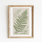 Antique Ferns Set of 4 In French Gray and Green - Paz Lifestyle 