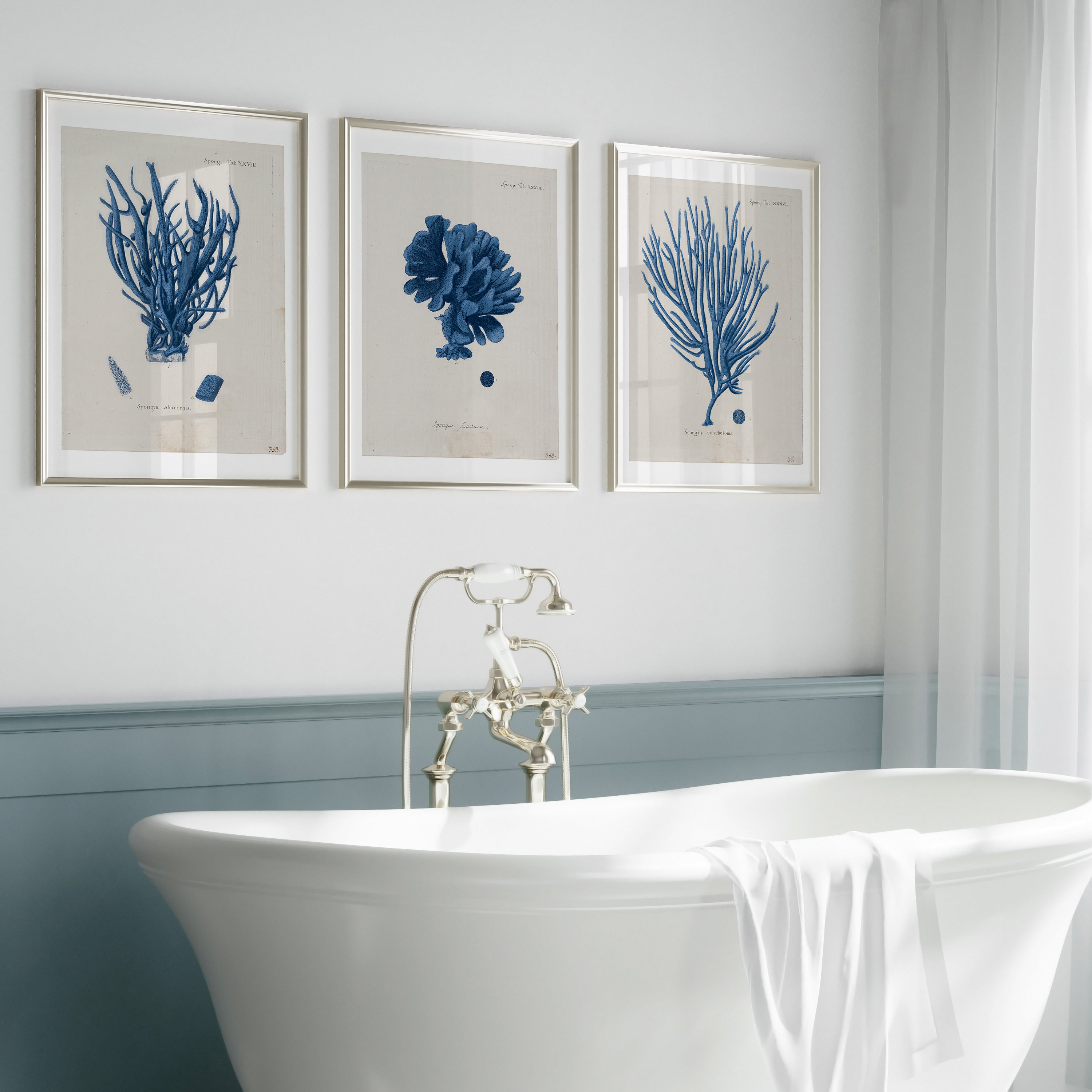 Vintage Coral Wall Art Studies Set of 4 In Antique or Indigo - Paz Lifestyle 