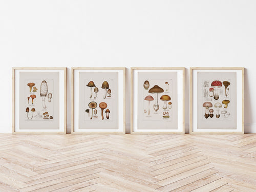 Antique Mushroom Wall Art Prints Set of 4 - Paz Lifestyle 