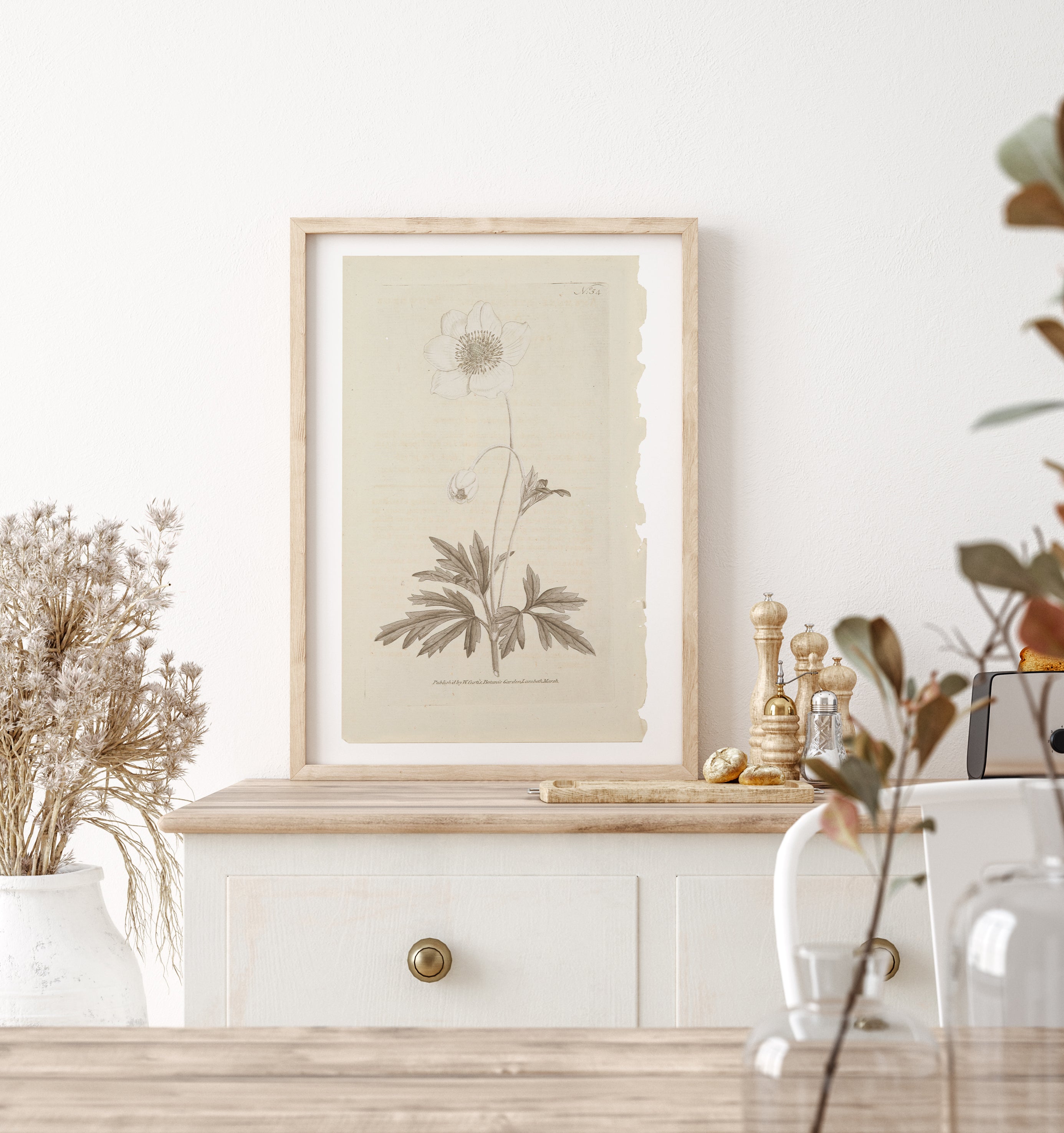 Vintage Wall Art Botanical Prints - Set of 4 Unframed - Paz Lifestyle 