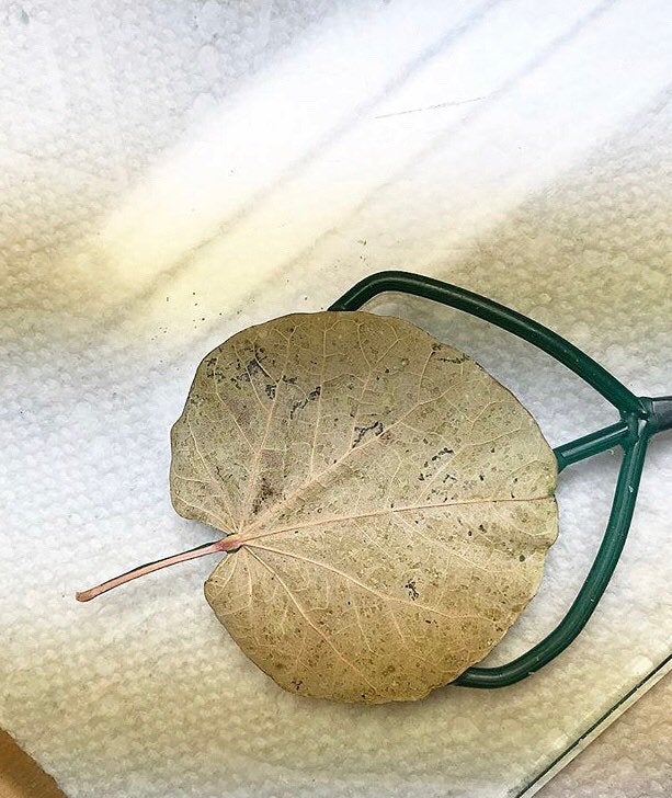 The Corsican leaf lily pad shape heart pendant - Paz Lifestyle 