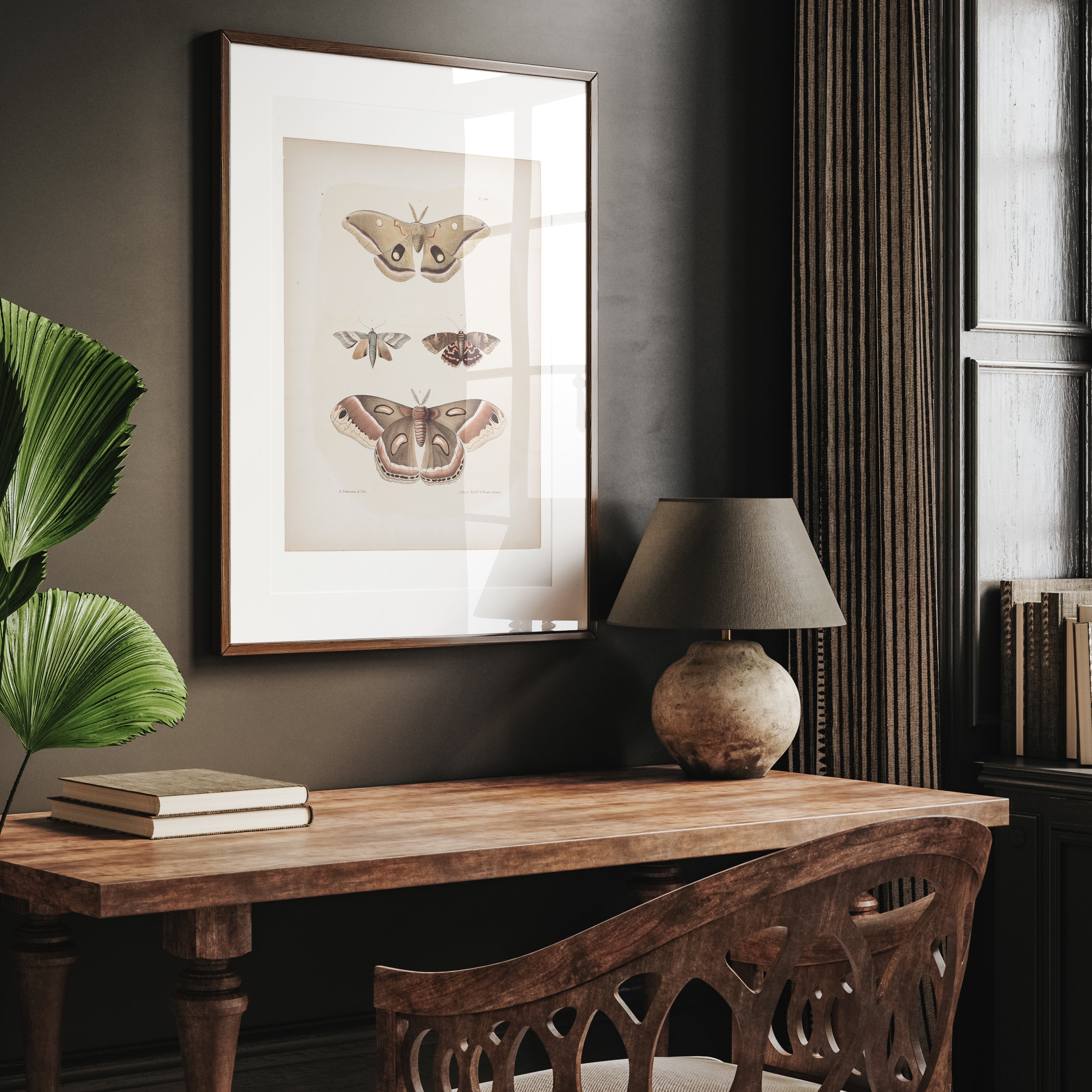 Antique Moth Illustration - Paz Lifestyle 