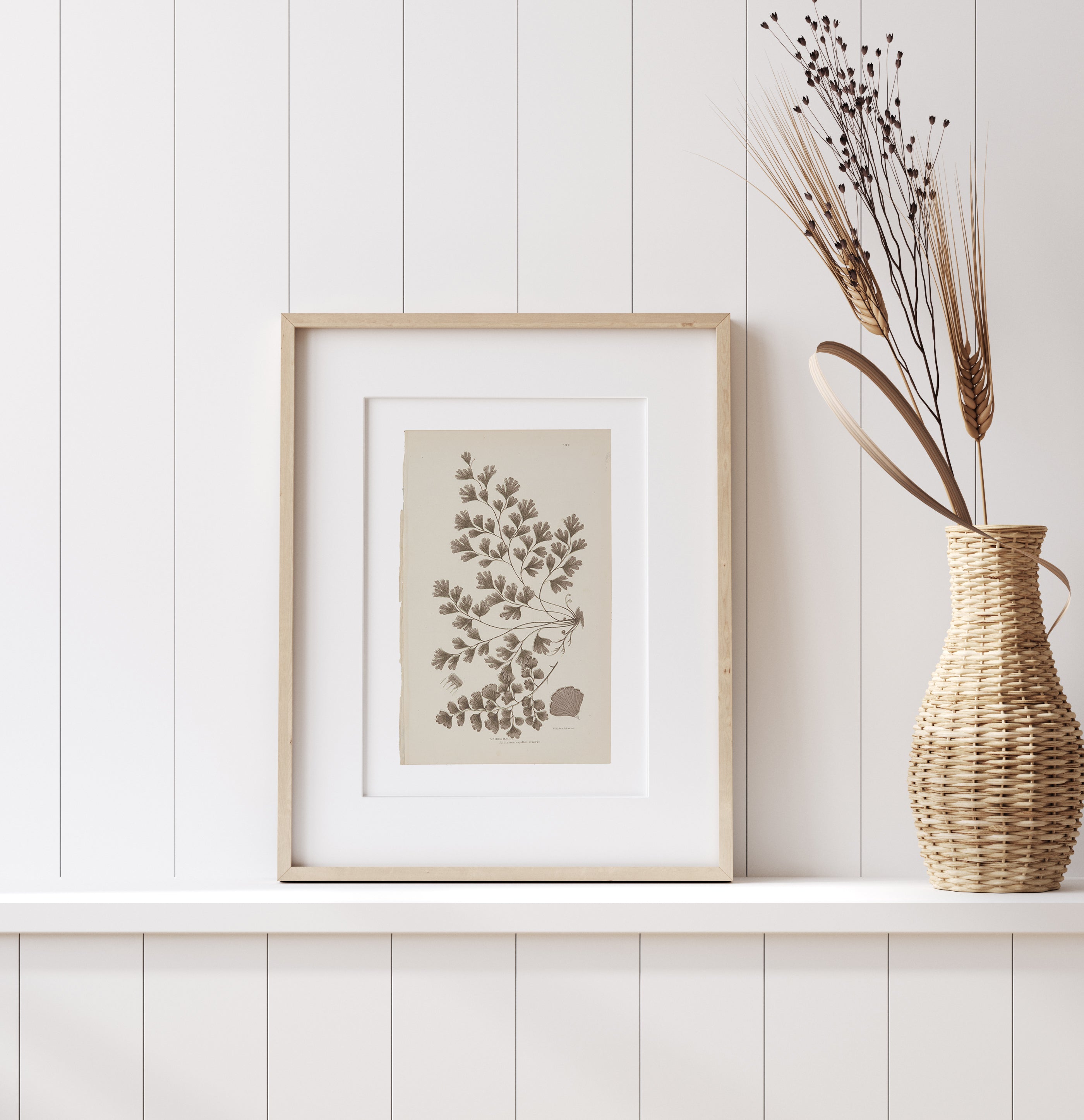 Antique Ferns Set of 4 In French Gray and Green - Paz Lifestyle 