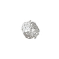 Unearthed- the Coral Imprint Ring - Paz Lifestyle 