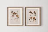 Antique Mushroom Wall Art Prints Set of 4 - Paz Lifestyle 