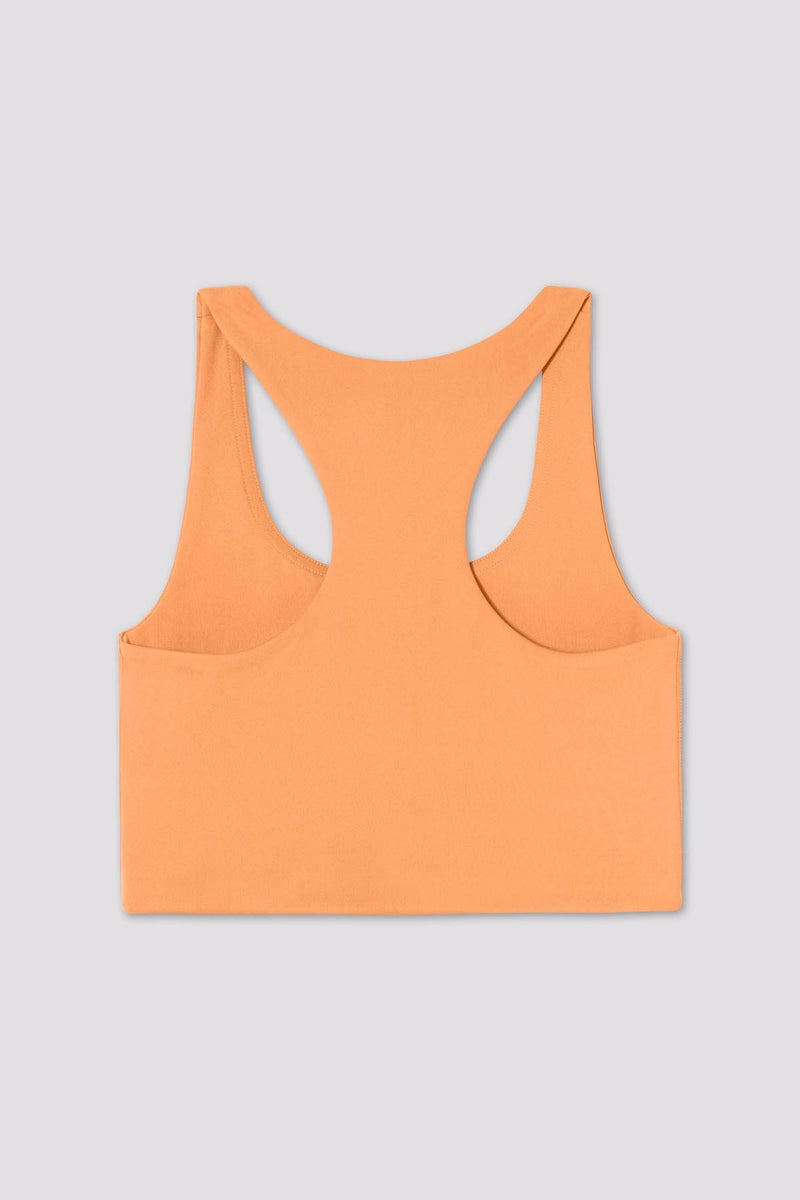 Horizon Paloma Bra