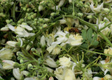 Moringa Wild Honey