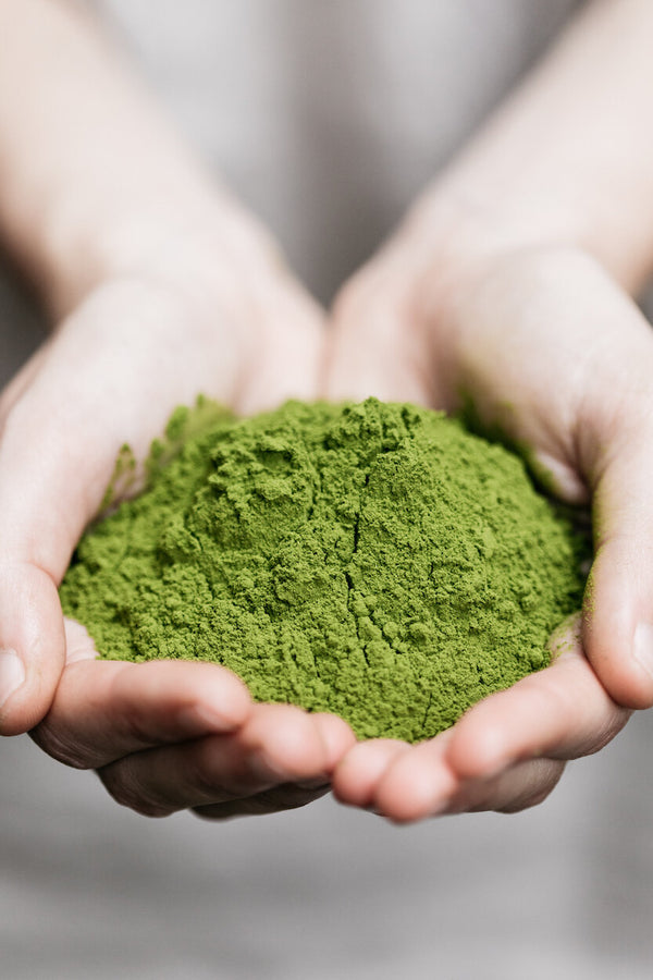 Sustainable lifestyle brand Nutu moringa leaf powder at PazLifestyle.com